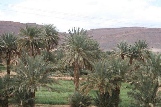Maggaman Guest House Tafraoute Sidi Ali ภายนอก รูปภาพ